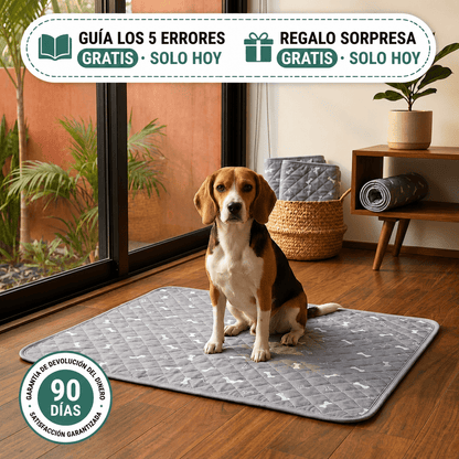 SniffPad™ Tapete de Feromona Reutilizable