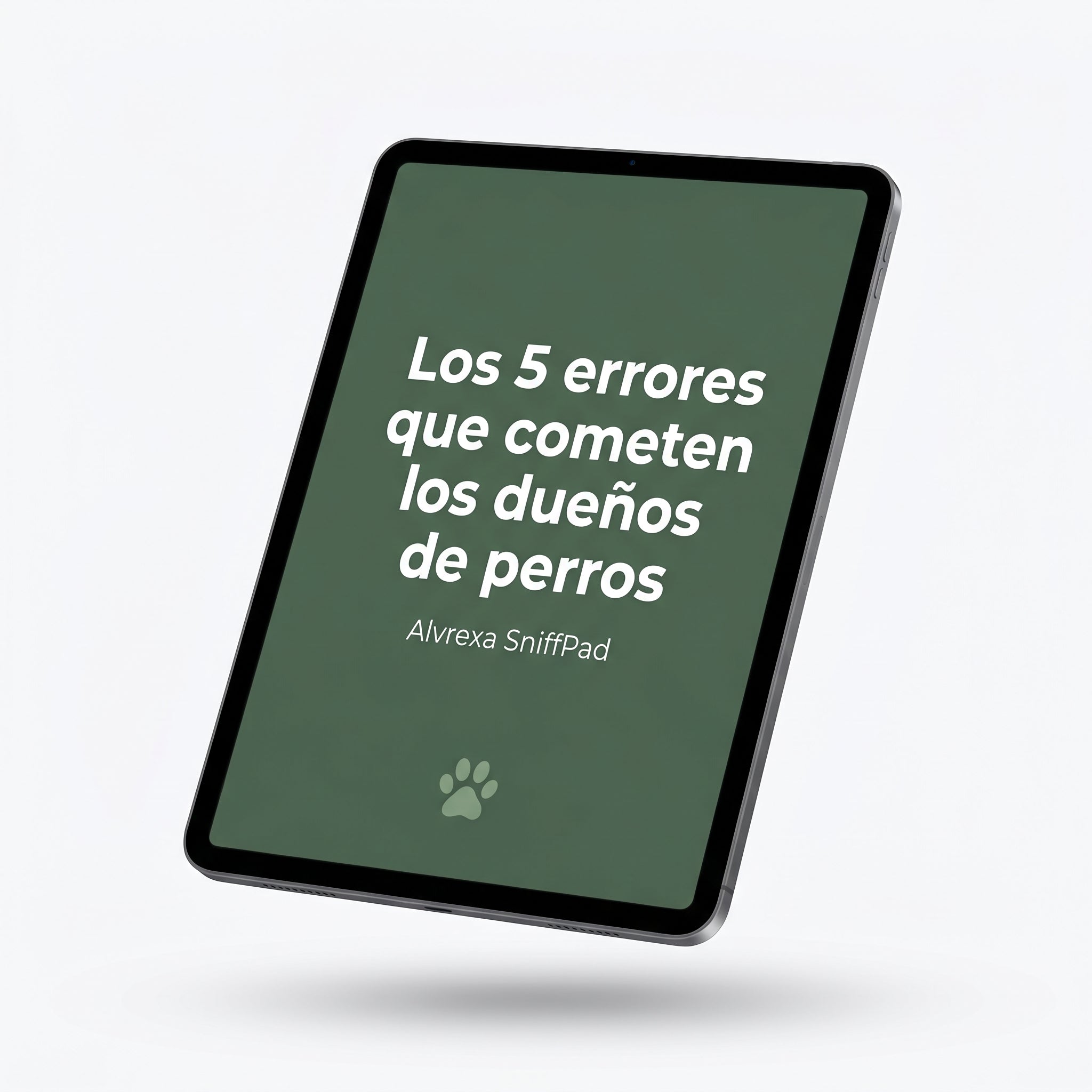 Guía: Los 5 errores